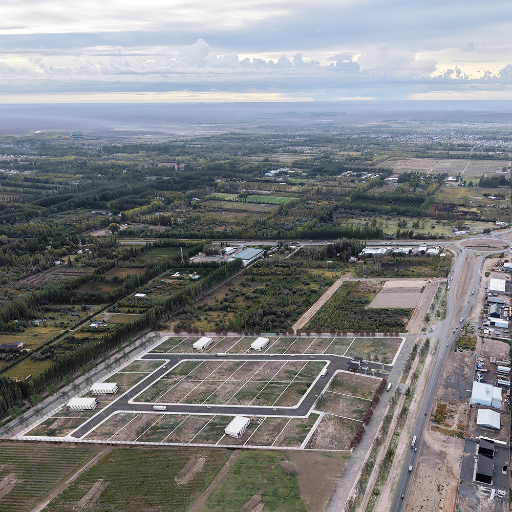 Vista del DLI