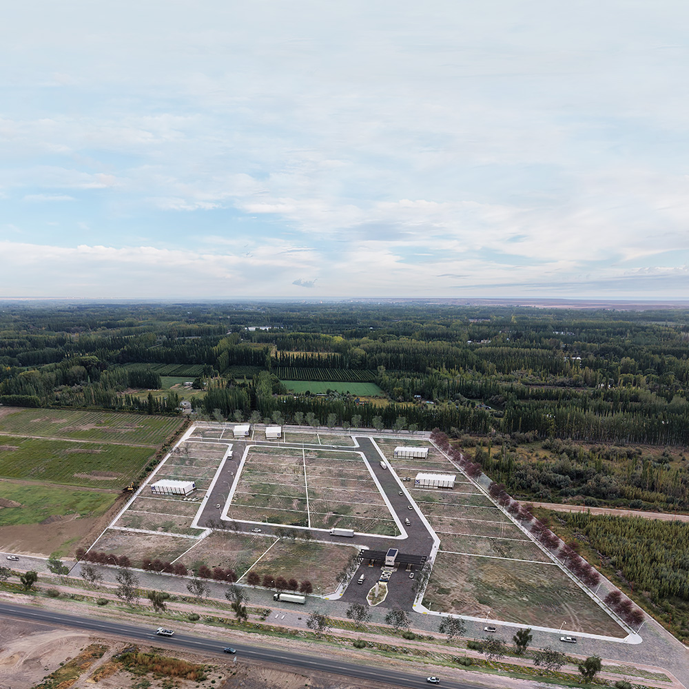 Vista del DLI